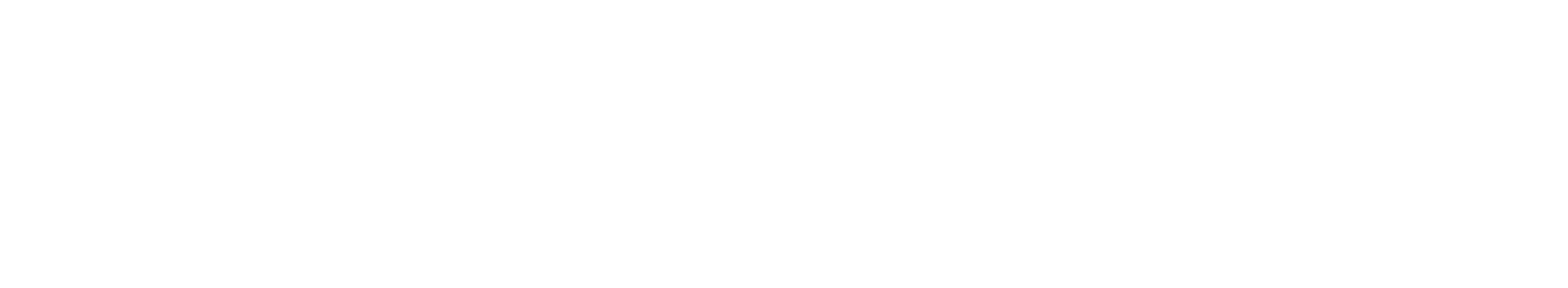 SafeGuarden logo white